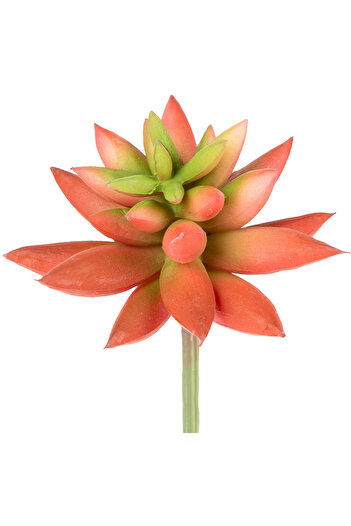 Herdekora Artificial Cactus Succulent Red 11 Cm