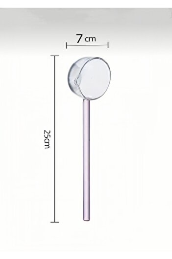 Vivien Home Glass Ladle Luxury Heat Resistant Glass Sauce and Soup Ladle Borosilicate
