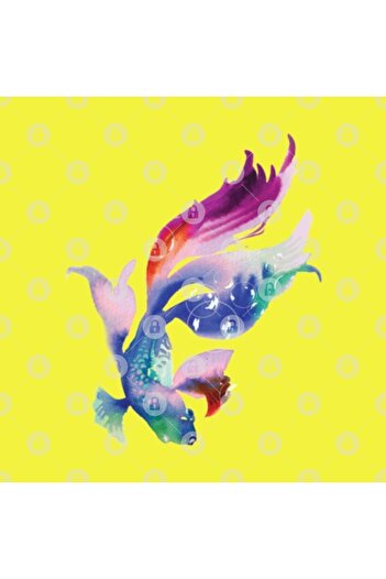 TatFast Asian Koi Fish Mug, Gift, Dowry, Presentation Holder