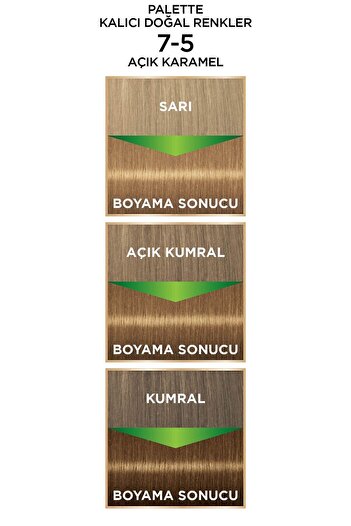 Palette Kalıcı Doğal Renkler 7-5 Açık Karamel Boya