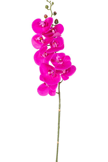 Herdekora Yapay Orkide Gerçek Dokunuş Fuşya 90 Cm.