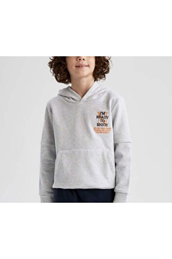 DeFacto çocuk içi şardonlu sweatshirt