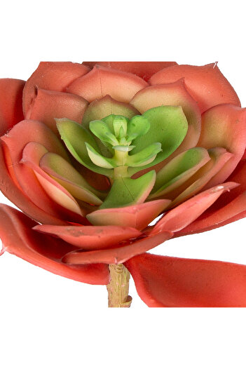 Herdekora Artificial Cactus Succulent Red 15 cm