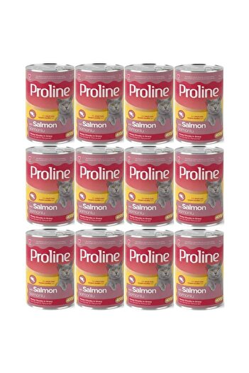 Pro Line Proline Sos İçinde Somonlu Yetişkin Kedi Konservesi 400 Gr*12 Adet