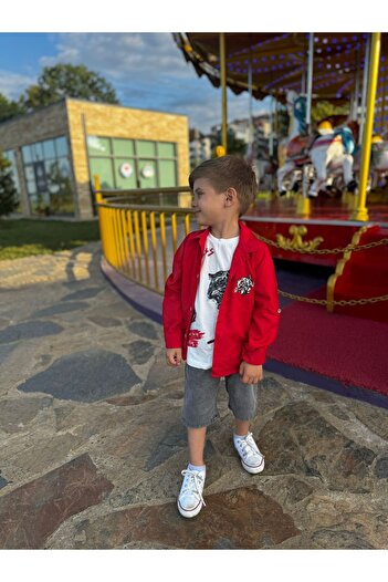 Pollito Boy's Seasonal Cotton Tiger Embroidered Shirt T-shirt 2-Piece Set
