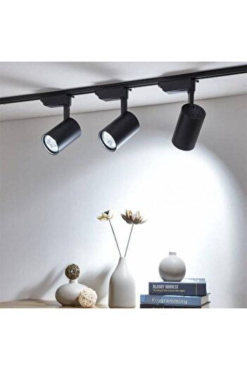 Ledim 4 Adet 30 Watt Siyah Kasa Beyaz Işık Kendinden Ledli Ray Spot