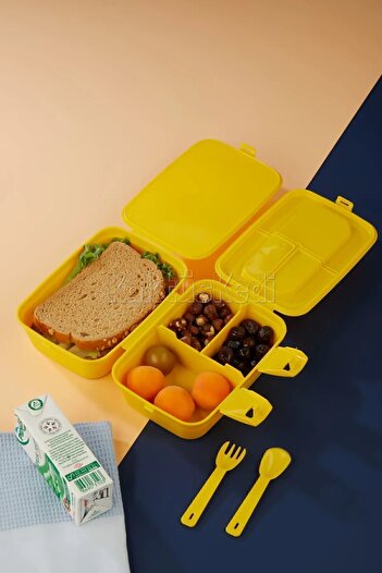 KaktüsKedi 4 Bölmeli Çocuk Beslenme Kutusu - Yemek Saklama Kabı Batman