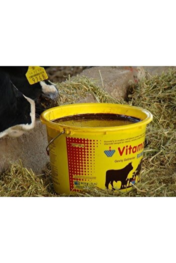 Royal Vitamolix 25 Kg Yalama Kovası