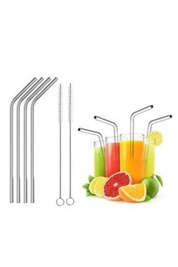 Fine Clean Stainless Steel Straw and Washable Cane - 4 Cleaning Brushes