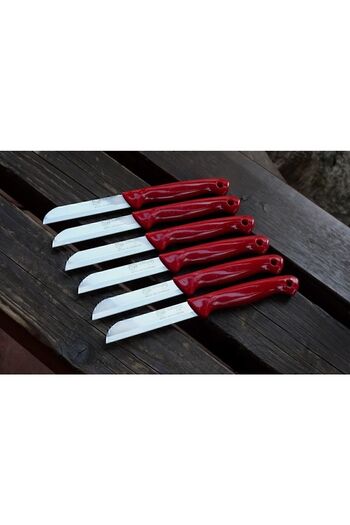 Solingen Fruit Vegetable Knife Handle Perforated Glittery 6 Pieces Serrated