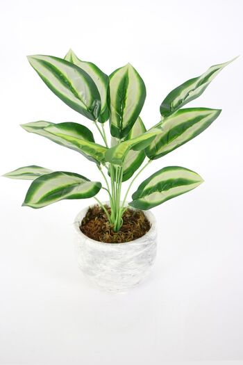 Yapay Çiçek Deposu 42 Cm Model-8 Plantă Artificială Lungă cu Frunze - În ghiveci