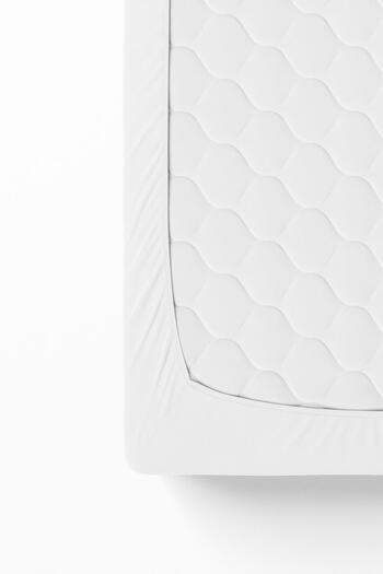 Anemons Single Combed Cotton Elastic Sheet - White