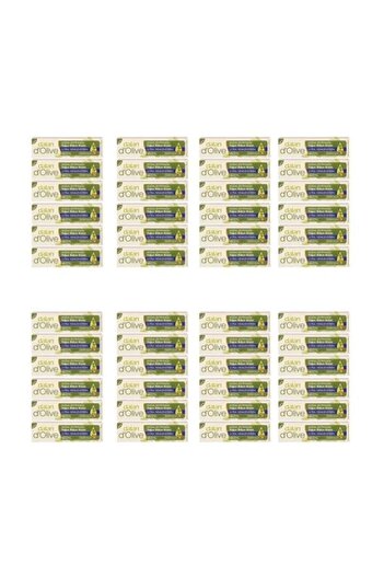 Dalan D'olive Yoğun Bakım Kremi 20ml 48'li Set