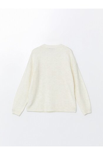 LC Waikiki Women's Knitwear Sweater - Crew Neck and Embroidery Detail