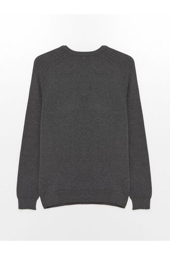 LC Waikiki Crew Neck Long Sleeve Men's Knitwear Sweater - W43926Z8