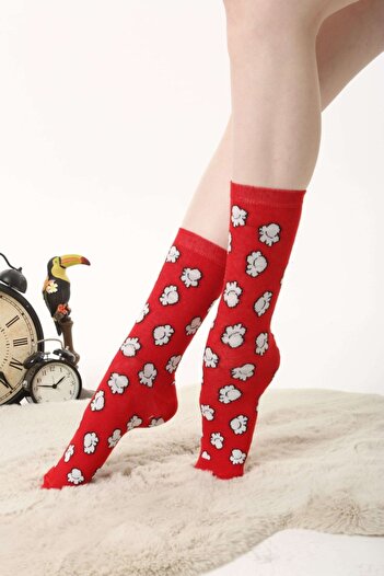 Socks Tunnel Patlamış Mısır Desenli Renkli Kırmızı Çorap