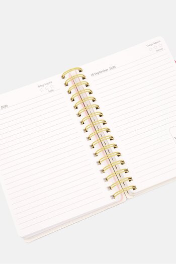 Votum Great Plans Ahead 12 Month Agenda, Pink Combo