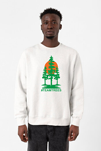 Tshirthane Містер Біст Тім Тріс Бейаз Еркек 2ip Світшот