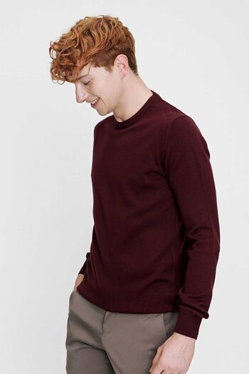 Morven Men's Dark Claret Red Basic Crew Neck Dynamic Fit Comfortable Pattern Knitwear