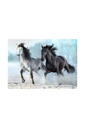 Blue Focus 1000 Piece Puzzle - Horses Horses