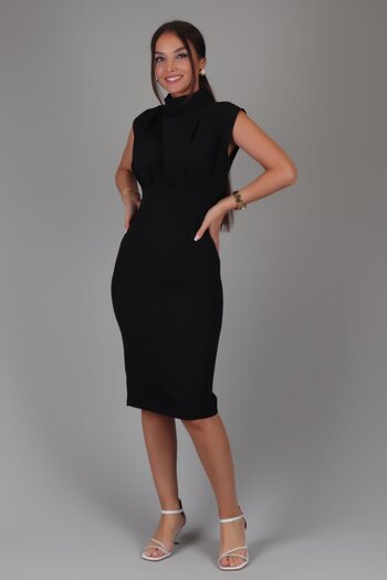 SWEETNESS Black Pleat Detailed Stand Collar Women's Dress