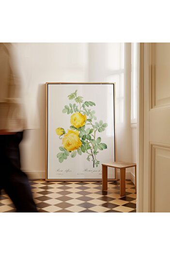 ARTHOUSECOLLECTIVE Botanical Poster by Pierre J.R - Frameless Poster in Painting Sizes