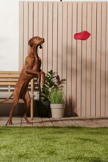 Tchibo Dog Throwing Disc, Red