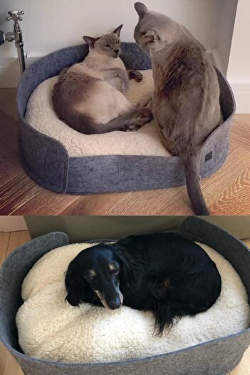 Bundera Zeus Kedi Yatağı Köpek Yatağı Minderi Gri Peluş Evcil Hayvan Kedi Minderi Kedi Yuvası Evi Kulübesi