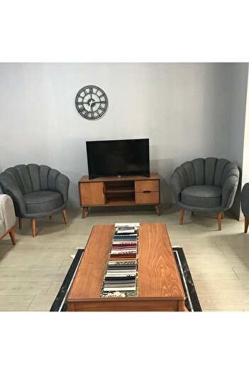Titiz Papatya Koltuk Takımı