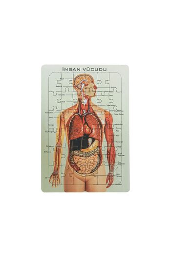 SERA Educational Puzzle Turkey Map + Human Body Set of 2 Size: 25*35 cm