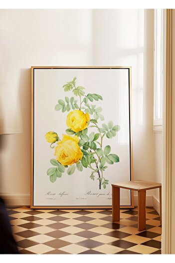 ARTHOUSECOLLECTIVE Botanical Poster by Pierre J.R - Frameless Poster in Painting Sizes