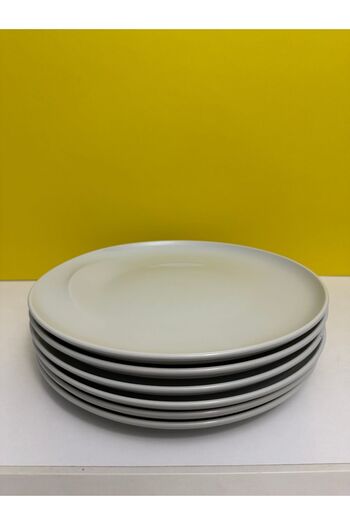 Kütahya Porselen Kunter Şekercioğlu Special Series White Serving Plate 27 cm Set of 6