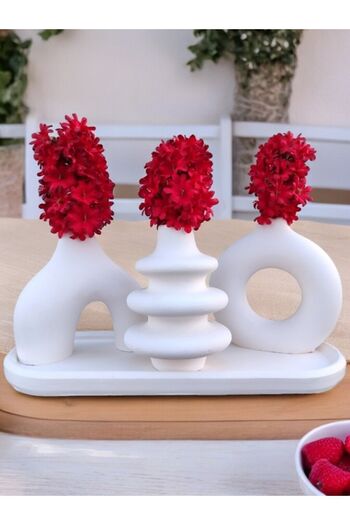 BSG HOME Decorative Vase Set with Oval Tray – Special Design Minimal Accessory Vase Set