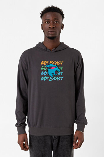 Tshirthane Mr Beast Lettern Фюме Еркек 2ip Капшонлу