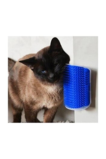 Apco Cat Combing and Massage Brush Blue