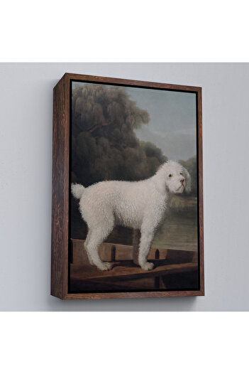 indispensablely Framed George Stubbs White Poodle Painting-8034