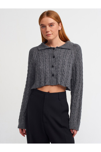 Dilvin 60203 Polo Collar Buttoned Glittery Crop Knitwear Cardigan-Smoke-Black