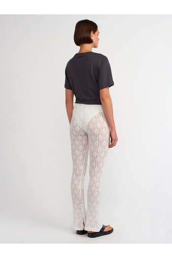 Dilvin 71084 Ecru Lace Spanish Leg Tights