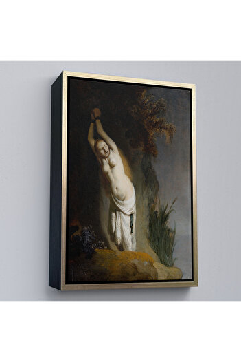 indispensablely Framed Rembrandt Van Rijn - Andromeda Painting-8062