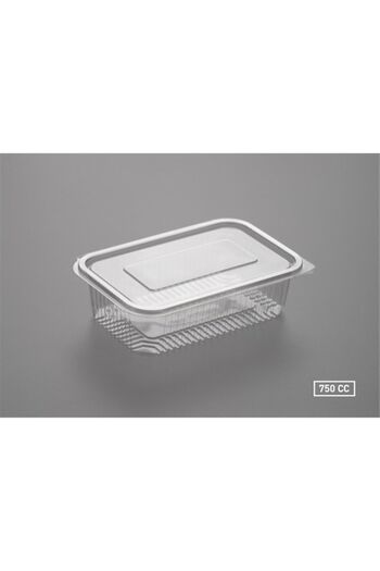 Özge 750 Cc Leak Proof Storage Container with Lid 10 Pieces