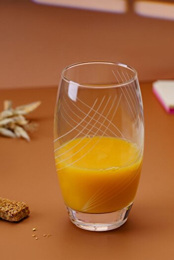 DECOSTYLE Set of 6 Flame Decorated Water and Soft Drink Glasses
