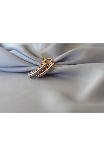 eGRAPEE Gold Modern Zircon Stone Earrings