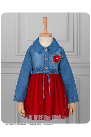 VİYOLİNA DENIM DETAILED DRESS