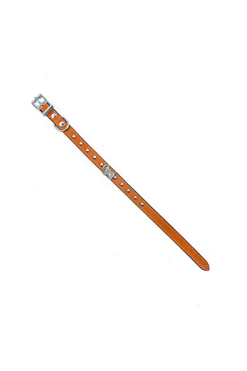 LİNO TASMA Lino Small Breed - 100% Leather Nickel Plated, Orange Badge Dog Collar - Bw23