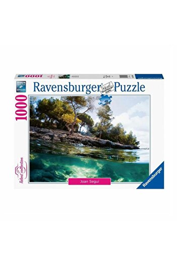 RAVENSBURGER 161980   Point of View 1000 Piece Puzzle