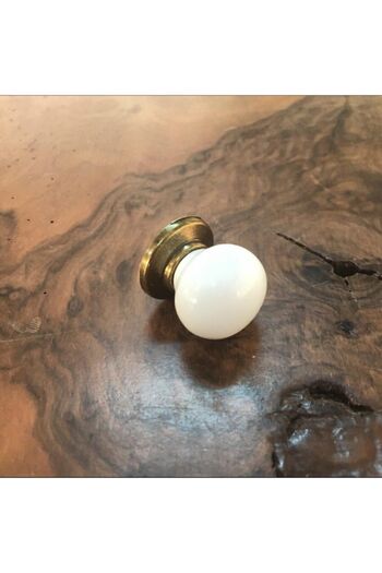Esal Porcelain Button Handle White