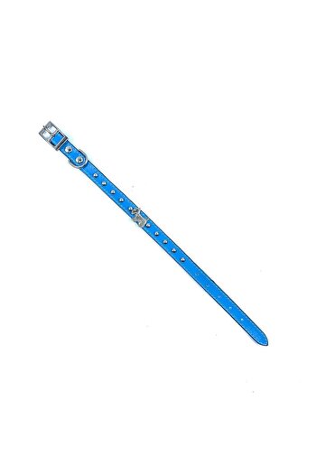 LİNO TASMA Lino Small Breed - 100% Leather Nickel Plated, Turquoise Badge Dog Collar - Bw14