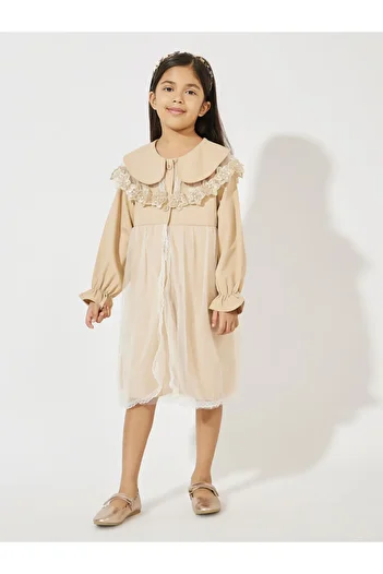 Styli Flower Lace Detail Front Mesh Knee Length Dress
