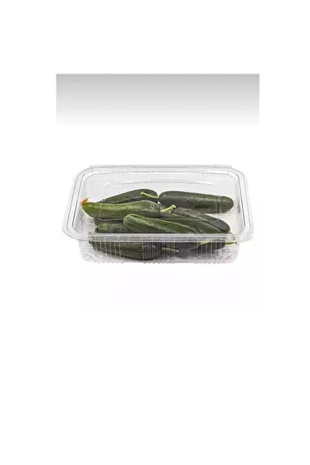 ANIL AMBALAJ 1000 Gr Cc 25 Plastic Leak Proof Containers