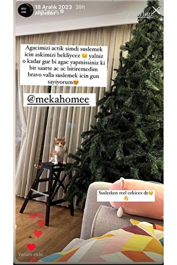 MEKA HOME 250 Cm Çam Ağacı 1618 Dal Ithal Ağaç Demir Ayak 1. Kalite